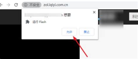 如何解决Chrome阻止使用过期Flash的问题 3