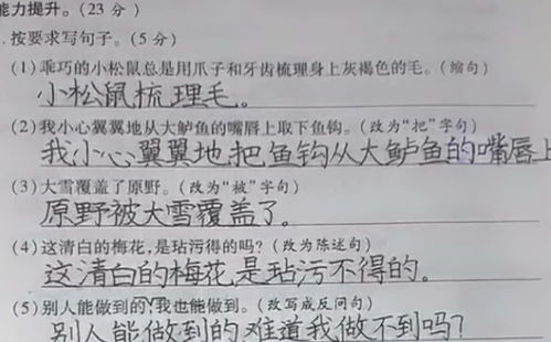 三年级小学生如何巧妙运用“不是什么而是什么”造句 2