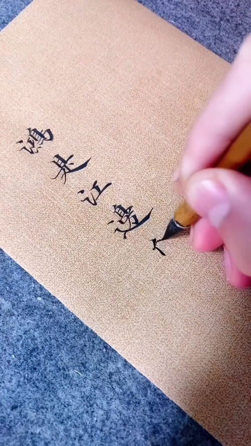 鸿江鸟伴，心上人依，续篇待寻 2