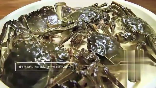 香酥可口！面拖大闸蟹的绝妙制作秘籍 2