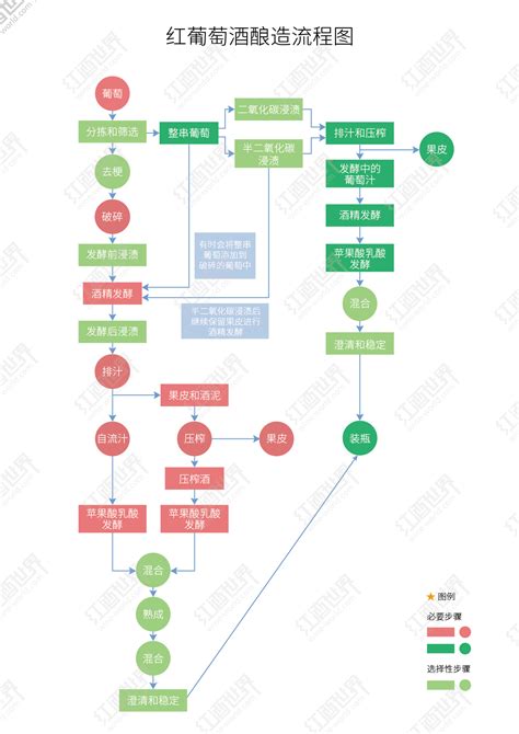 高效优化葡萄酒酿造全流程解析 5