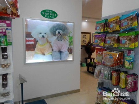 打造成功宠物店的秘诀：全面掌握经营之道 1