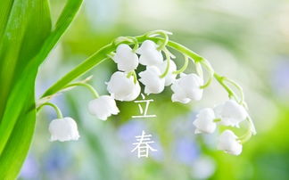 2020年立春次数探究 3