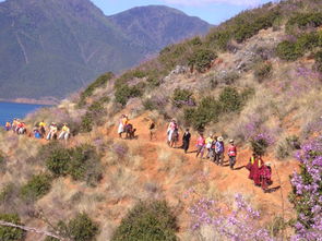 探寻西藏独特民俗，解锁神秘风情旅游攻略 2