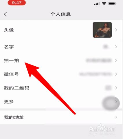 微信“拍一拍”功能设置全攻略 3