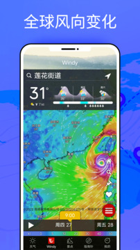 windy官方版