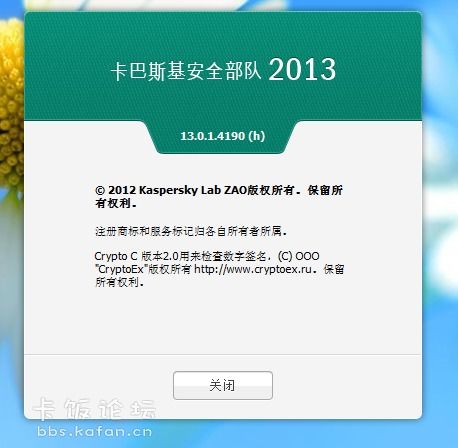 2013版卡巴斯基安全部队：激活码高效应用全攻略 2