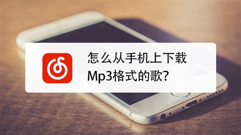 手机歌曲MP3下载方法 3