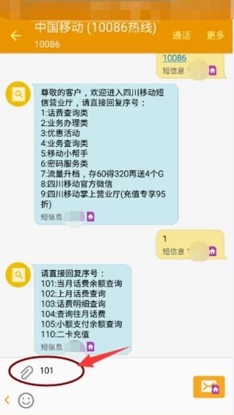 如何用手机短信查询中国移动话费？ 4