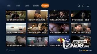 如何在央视频上观看CCTV5直播 3