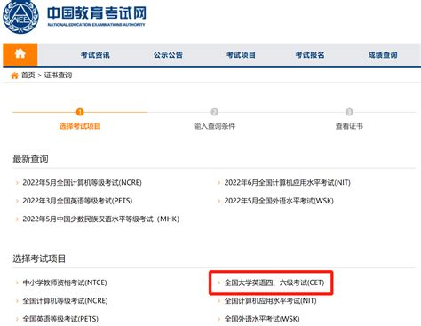 如何查询往年四六级考试成绩？ 5