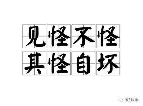 揭秘：司空见惯的截然相反词是什么？ 1