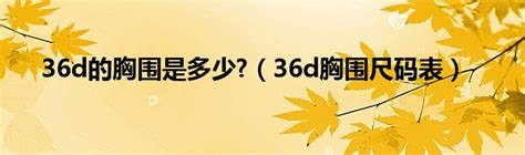 揭秘！36D尺寸究竟对应多少？你不可不知的真相！ 2