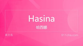 揭秘'ha'的多重含义：从日常笑声到网络热梗的深度探索 1