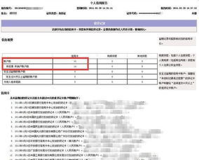 如何在线免费查询并获取个人征信报告？ 4