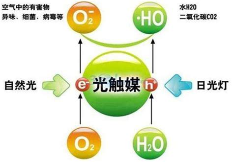 揭秘气触媒：神奇功效大起底 4