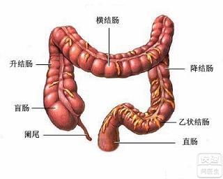 结肠息肉的有效治疗方法大揭秘 1