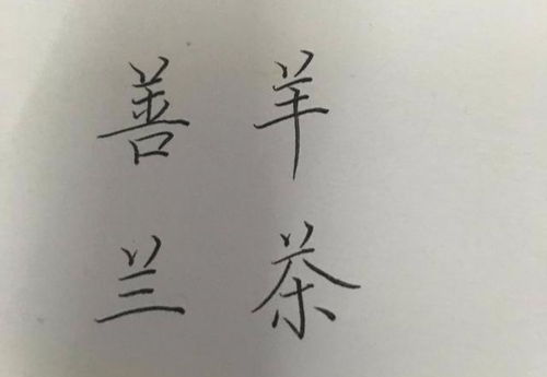 轻松学会羊字正确笔顺，一笔一划不犯错！ 2