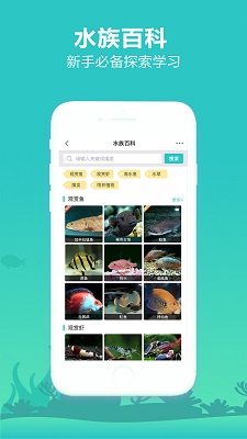 泡泡水族app官方