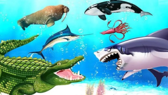 海洋动物王国保卫战