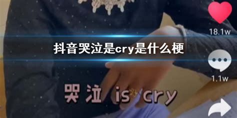 CRY 的准确含义是什么？ 1