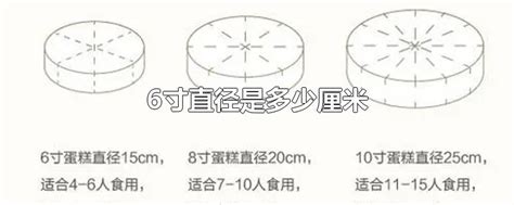 六寸直径，你知道它等于多少厘米吗？ 1