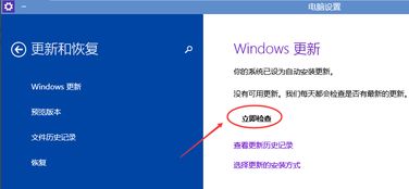 Win10系统升级全攻略：轻松迈向更高效的操作系统 2