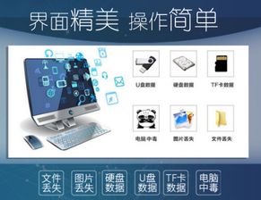 DIR命令：轻松恢复数码存储设备丢失数据的秘密武器 1