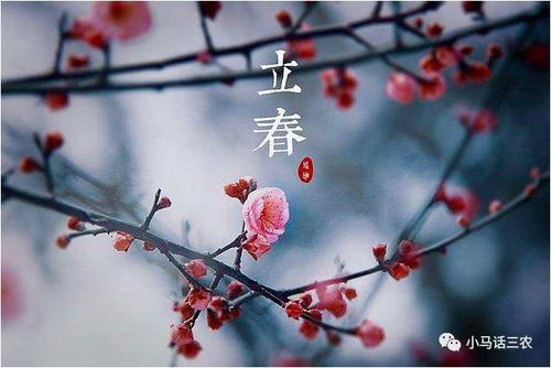 2020年立春次数探究 4