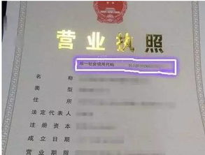 如何查询社会信用代码？ 1