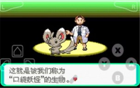 口袋妖怪漆黑的魅影最新版