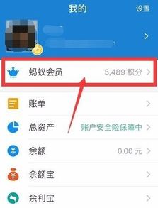 支付宝速得蚂蚁会员积分攻略 3