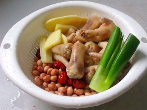 美味滋补：鸡脚花生汤的简易烹饪秘籍 2
