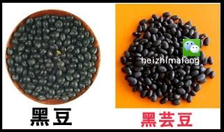 如何鉴别真假黑豆？ 4