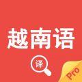 越南语翻译器 v1.3 