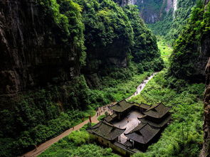 重庆仙女山详尽旅游指南 1