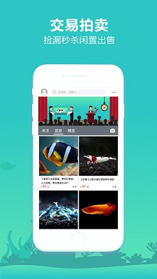 泡泡水族app官方