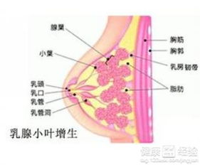 告别乳腺增生：有效治疗方法大揭秘 1