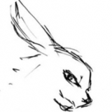 兔兔漫画 v1.4