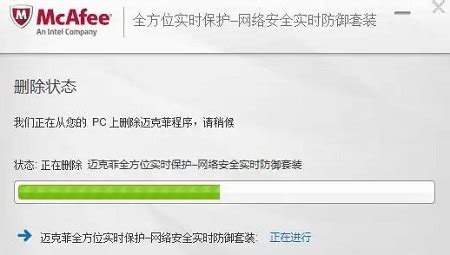 Win10用户必看：轻松卸载迈克菲联网顾问的实用指南 2