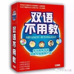 揭秘“双语不用教”的真实效果！ 2
