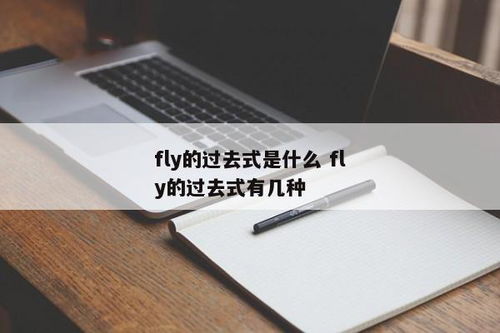 fly的过去式是什么 4