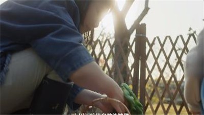 小森生活正版