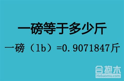 一磅换算成斤是多少？快速计算公式揭秘！ 1