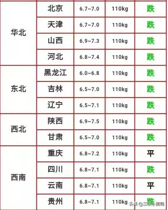 钱多多植物的高效养殖秘籍与必知养护要点 1