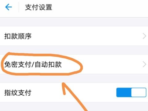轻松几步，教你彻底关闭支付宝免密支付功能 1