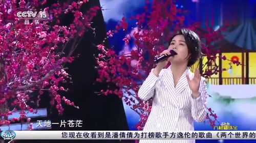 惊艳呈现：聆听美女潘倩倩的天籁之音 2