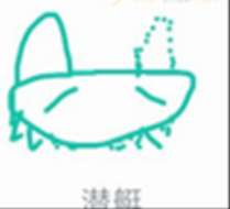 轻松掌握！QQ画图红包浣熊的萌系画法秘籍 3