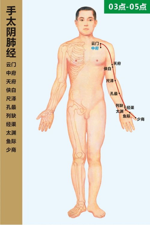 告别粗手臂！真人演示八式经络瘦臂操，塑形效果看得见 2