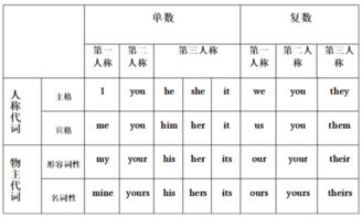 动物园们的奇妙集合：探索“动物园”的复数奥秘 3